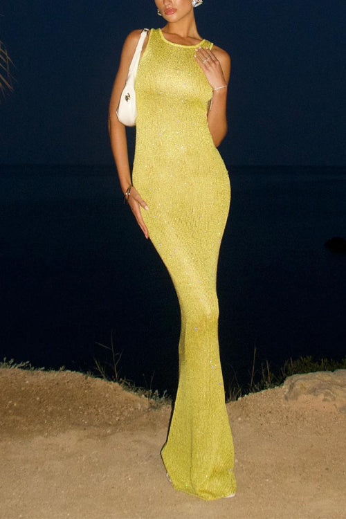 Camilladress Round Neck Sleeveless Bodycon Glitter Maxi Party Dress