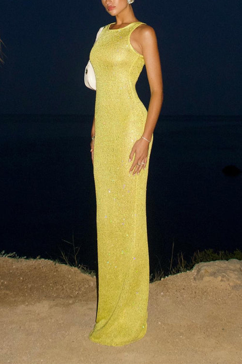 Camilladress Round Neck Sleeveless Bodycon Glitter Maxi Party Dress